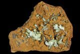 Gemmy, Yellow-Green Adamite Crystals - Durango, Mexico #88877-1